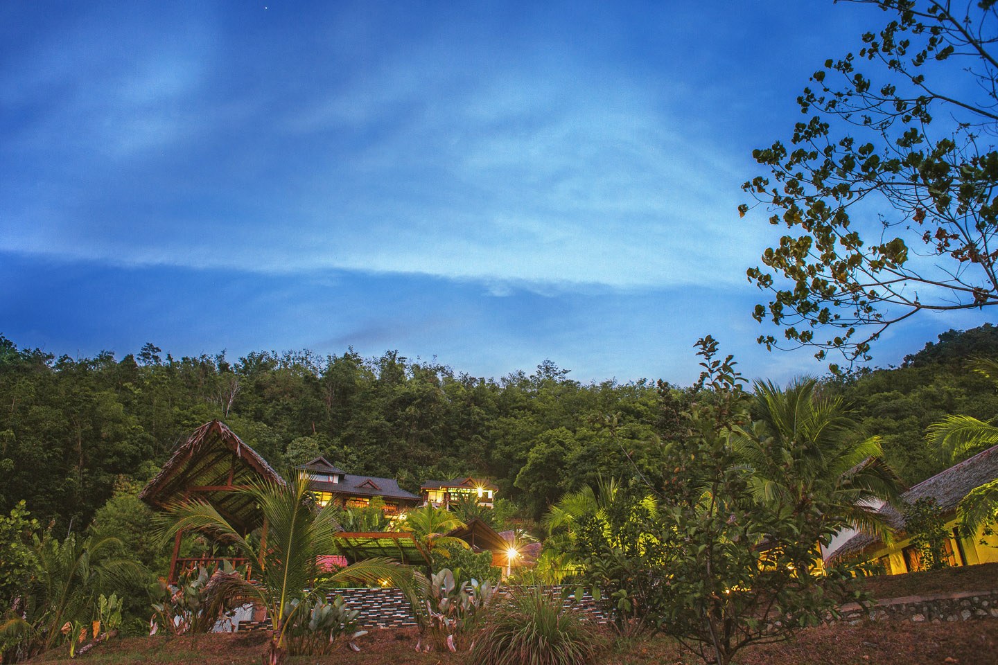 The hillside at dusk