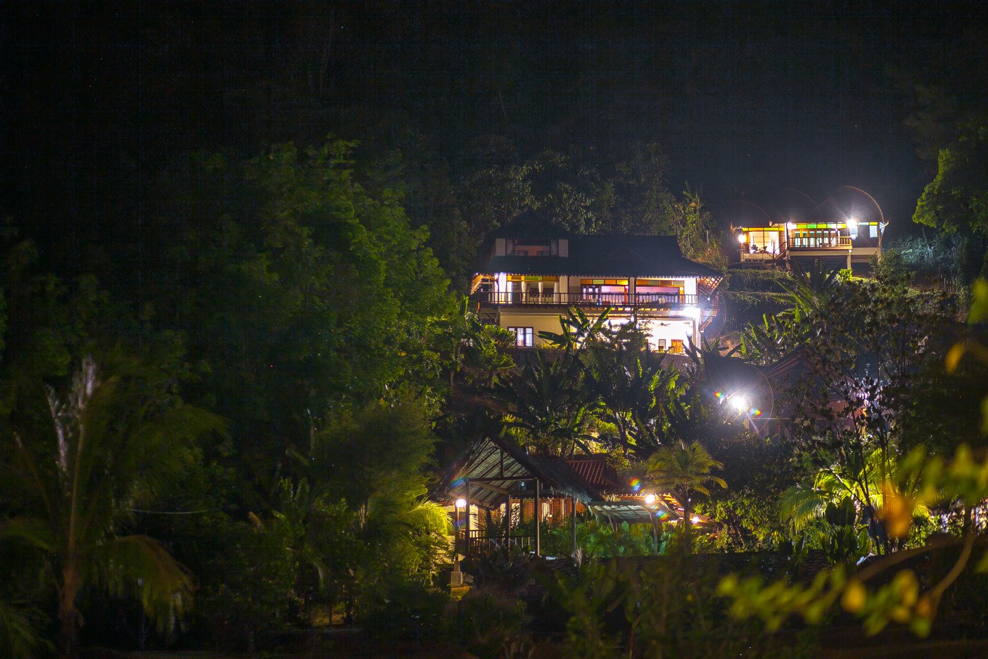 Alamanda after dark